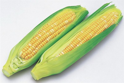 鲜玉米