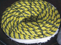 Tabby rope